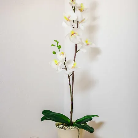 Gimpl Fusch an der Grossglocknerstrasse