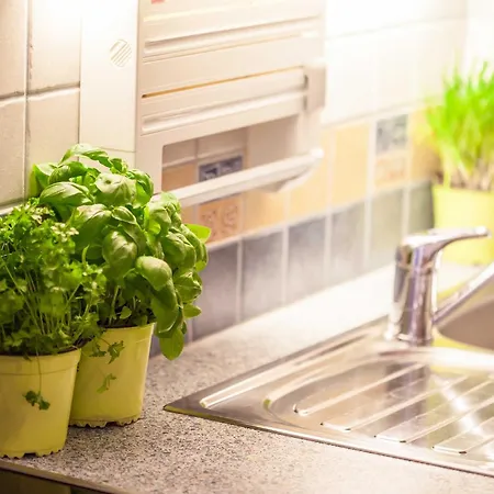 Gimpl 홈스테이 Fusch an der Grossglocknerstrasse