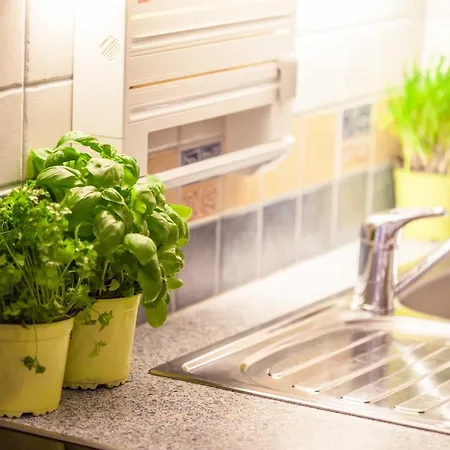 Gimpl 홈스테이 Fusch an der Grossglocknerstrasse