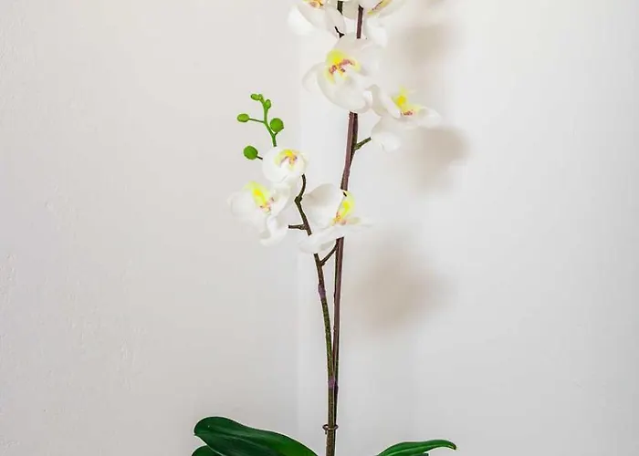 Gimpl Fusch an der Grossglocknerstrasse